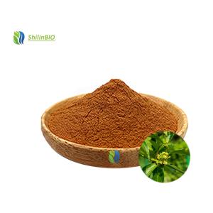 Factory Wholesale Gymnema Sylvestre Leaf Extract 25% 75% Gymnemic Acid Powder