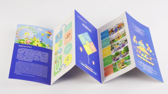 Advertising Business Trifold Brochure Full Color Fancy Tri Fold Flyer