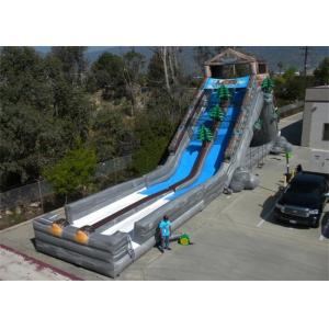 Cheap CE Certification Commercial Inflatable Slide , 30M Length Large Inflatable Slides for sale