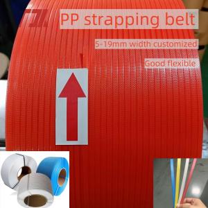 Cheap 5-19mm PP PET Strap Use For Manual Or Automatic Packing With Longer Length And Good Straightness for sale