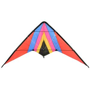 Cheap 100% Nylon Rainbow Delta Kite 2-6bft Swing Range Dual Line Type Custom Logo for sale