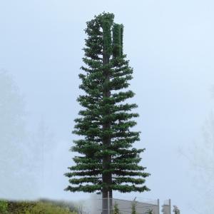 60m Galvanized Amouflaged Camouflage Cell Tower