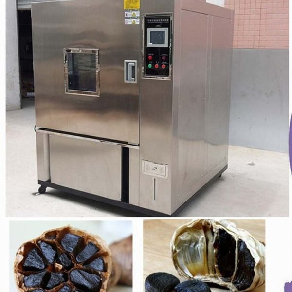 Quality Constant Temperature 1000L Black Garlic Fermentation Equipment Easy To Maintain wholesale