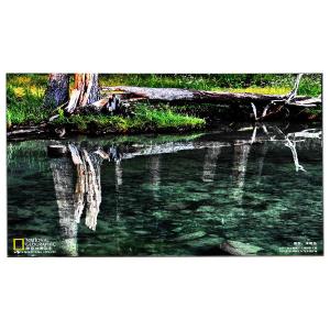 LM238WF5-SSE4 23.8 inch 1920*1080 LCD Touch Panel