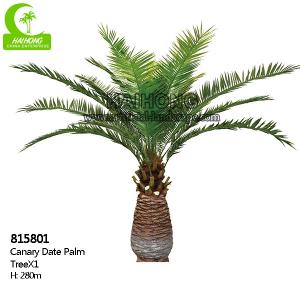 Cheap Aesthetic Height 280cm Artificial Tropical Tree For Office Decoration for sale