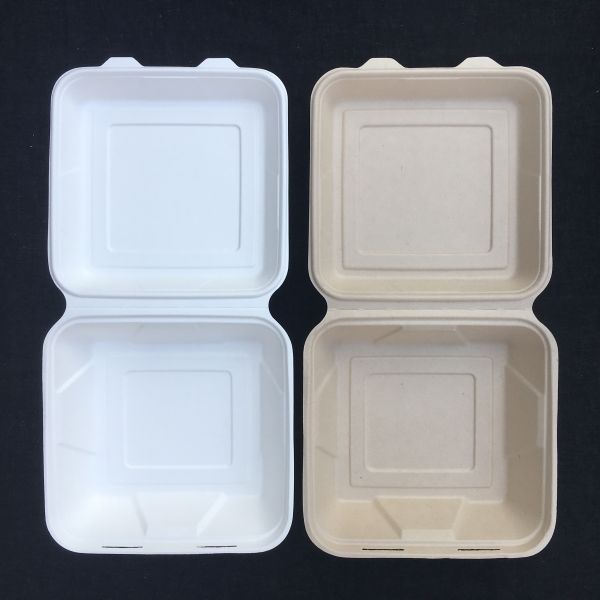 Quality Compostable 8 Inch Disposable Lunch Box Sugarcane Takeaway 2 3 4 5 Compartment wholesale