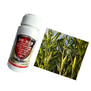 China Cabbage worm diamondback moth organic pesticide farm tomato plants pest killer AcNPV  on sale