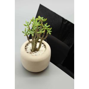 Black Mirror Aluminum Composite Panel ACM Panel with Fire Rating B1 UV