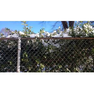 chain wire fence roll