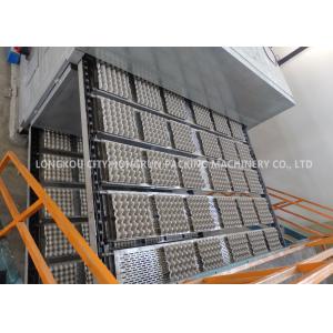 High Speed Waste Paper Egg Box Machine Full Throttle Operation CE Approved