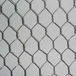 Factory Sale Various Diamond wire mesh hexagonal wire mesh for chicken and pets