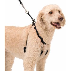 China Easy Step In No Choke Dog Training Collars Halter With Detachable Restraints on sale