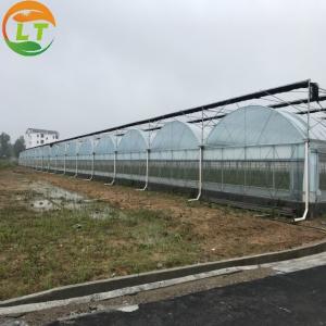 Single Layer 200 Micro UV Plastic Film Greenhouse for Vegetable Strong and