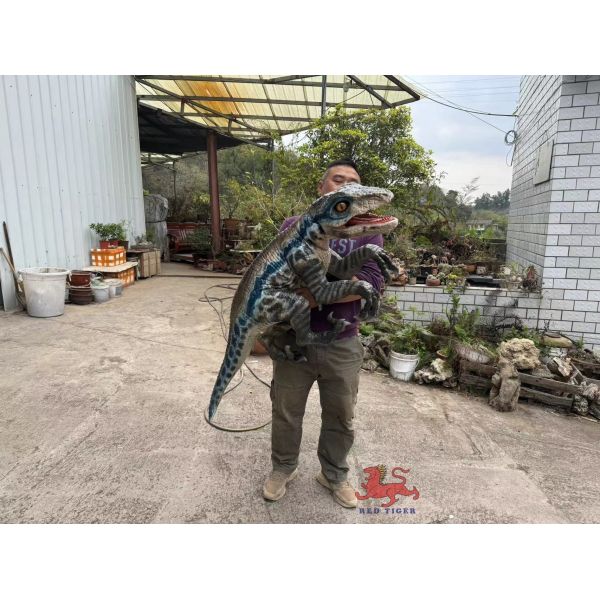 Quality Customized Realistic Baby Animatronics Dinosaur Hand Puppet wholesale