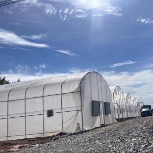 Practical High Tunnel Greenhouse For Agricultural Solutions