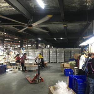 18FT Low Noise Aluminium Ceiling Fan for Commercial Ventilation in Cowshed