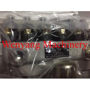 Fuel Injection Pump Wheel Loader Engine Parts Weichai WD10G 612601080591