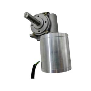 Window Opener Brushless DC Motor