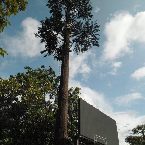 Quality Artificial Palm Tree Camouflage Telecom Tower Mobile Monopole Bionic Tree Wifi Signal wholesale