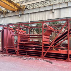 High Flexibility Boiler Membrane Wall with Temperature Range 500-1000°C and 10