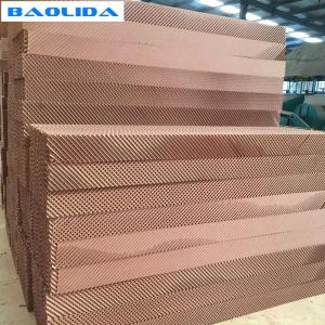 Large Size Greenhouse Cooling System / Fan Pad Cooling System In Greenhouse