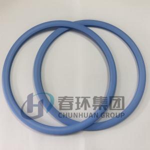 21Mpa Ptfe Flat Gasket