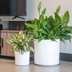 China Customized Fiberglass Flower Plant Pots Round For Indoor Plants on sale