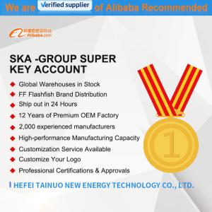 Flexible Solar Panel 1000W 100W with Max-Power 430W/520W and Affordable