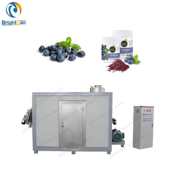 Quality Fine Fruit Powder Milling Machine Blue Berry Banana Flour Cryogenic Pulverizer wholesale