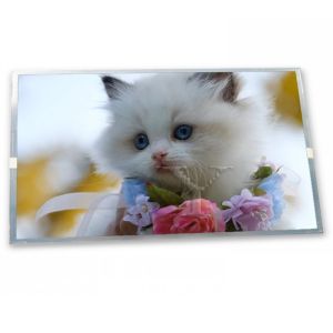 800(RGB)*600 8 Inch A-Si TFT-LCD Complete Range of Industrial Screens TM080SDH02