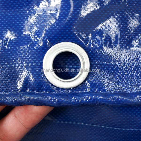 Quality Professional PVC Tarpaulin Roll Material for Outdoor and Heavy-Duty Applications wholesale