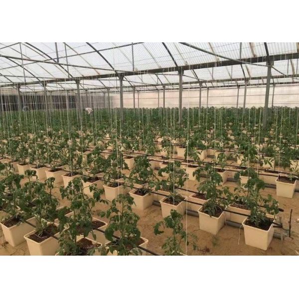 Pp Soilless Hydroponic System Medium 30x25x23cm Beige Dutch Bucket Growing Tomatoes Cucumber Zucchini