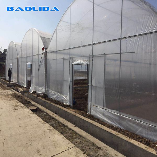Quality PE Film Covering Heavy Duty Plastic Greenhouse / Prefabricated Poly Tech Greenhouse wholesale