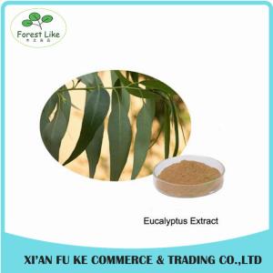 Pure Natural Eucalyptus Leaf Extract Powder 10:1 20:1