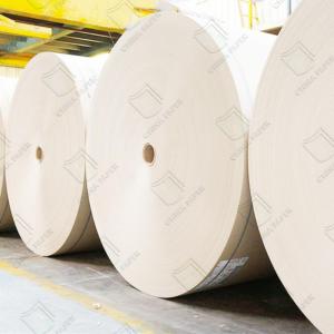 190-330gsm Clay Coated Cupstock For Bulk Milk Tea And Coffee Orders