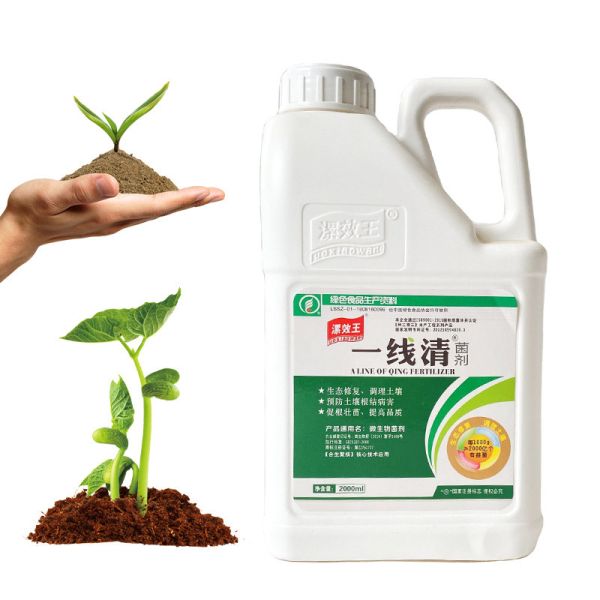 Seaweed Extract Soil Conditioner Fertilizer Provide Nutritions And Healthy For