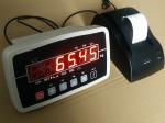 Indicator/LZWS12/Flat platform scale/Floor scale/LED/LCD/ABS