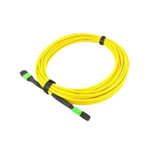 Male Female 8 / 12 / 24 Cores MPO Patch Cord Optical Fiber APC UPC Jumper