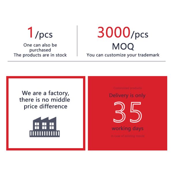 DN20 Tilting Disc Check Valve