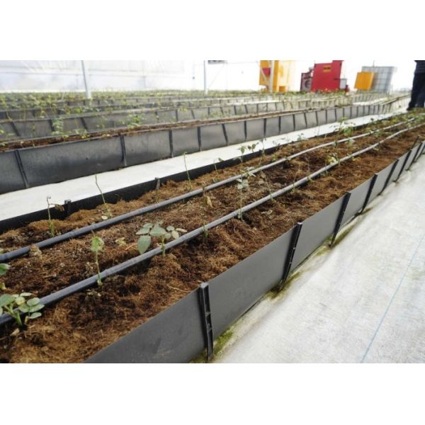 Soilless Growing System PP Growing Trough Colletcing Trough Black Growing Tomatoes Rose Cucumbers