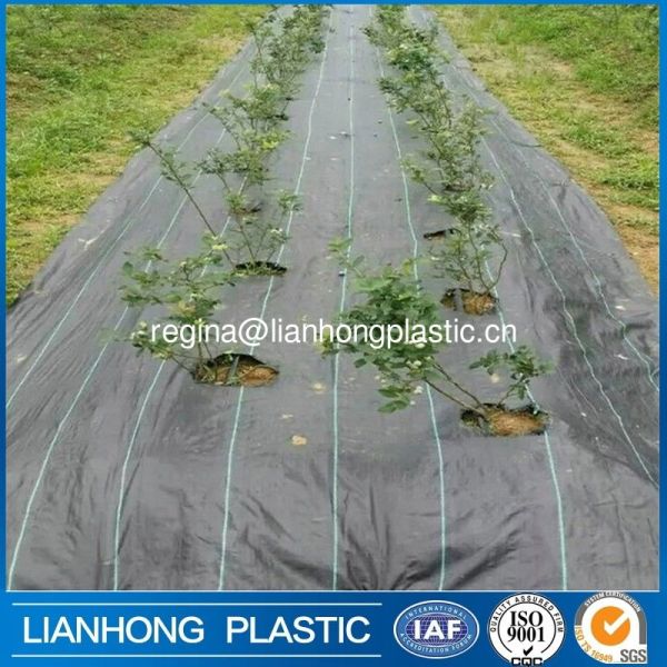 Weed Barrier Fabric