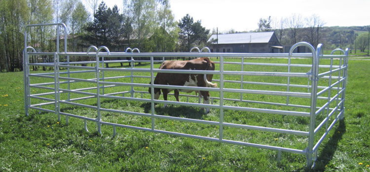 corral fence panels