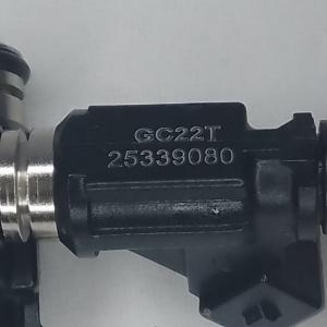 25339080 DELPHI Jinbei Mitsubishi Delica Fuel Injector Replacement