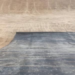 Environmental Protection Pond Lining and Dam Liner HDPE Geomembrane with Length