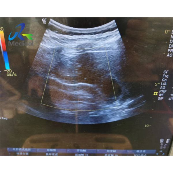 Quality GE 4C Ultrasound Probe Repair Transducer Maintenance Lens wholesale