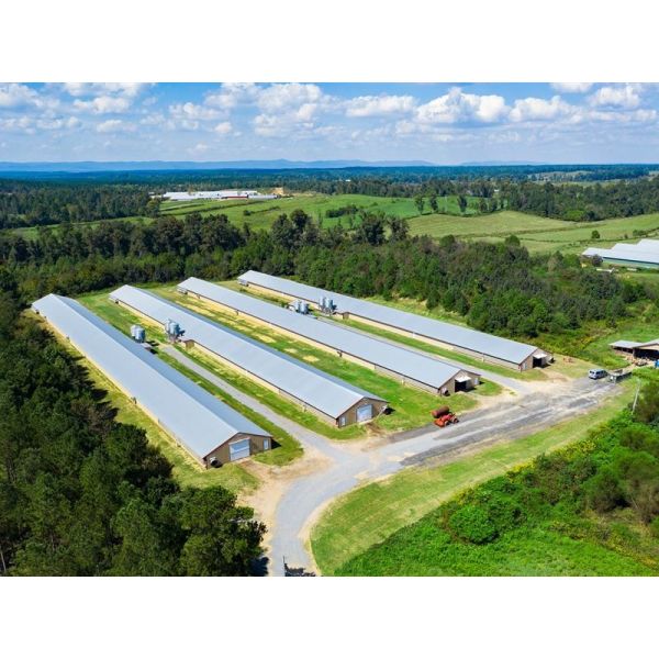 Prefab Steel Structure Chicken House Broiler Farm Steel Frame Building