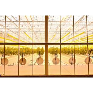 110L Automatic Fertilizing Machine Integration Irrigation Fertilization System