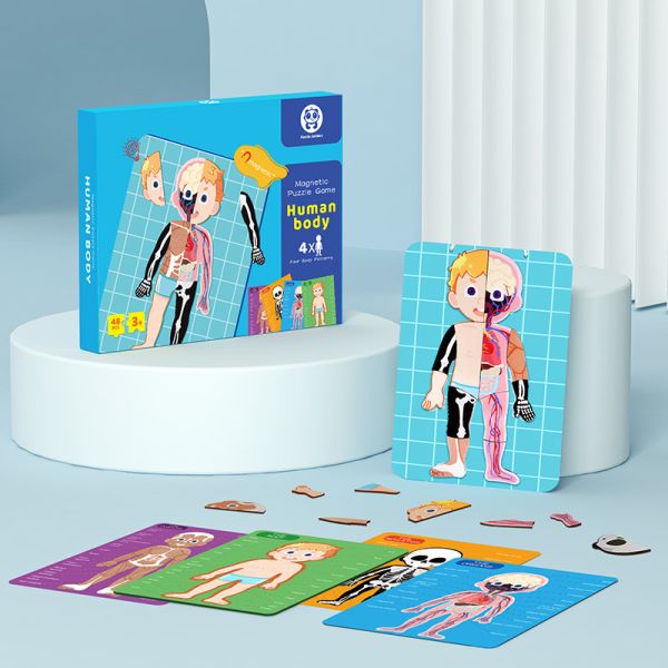 Quality Human Body Anatomy Learning Magnetic Puzzle For Ages 3-8 Kids 48Pcs With Gift Box wholesale