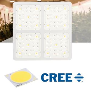 Cheap 4'*4' Coverage COB LED Grow Light Plug And Play Type Easy Installation for sale