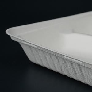 8 Inch Senvironmentally Friendly Disposable Food Containers Fda Approved